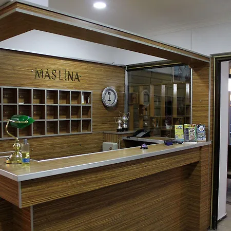 酒店 Maslina 3*
