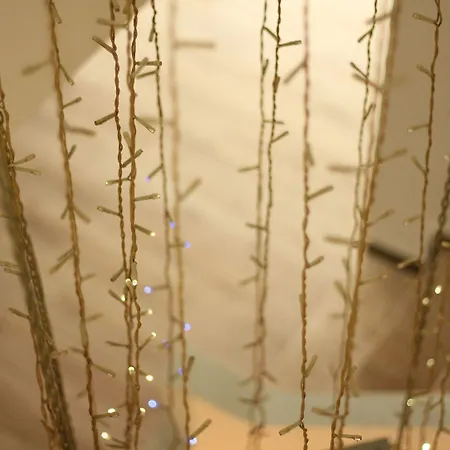 Maslina Akcay (Edremit)